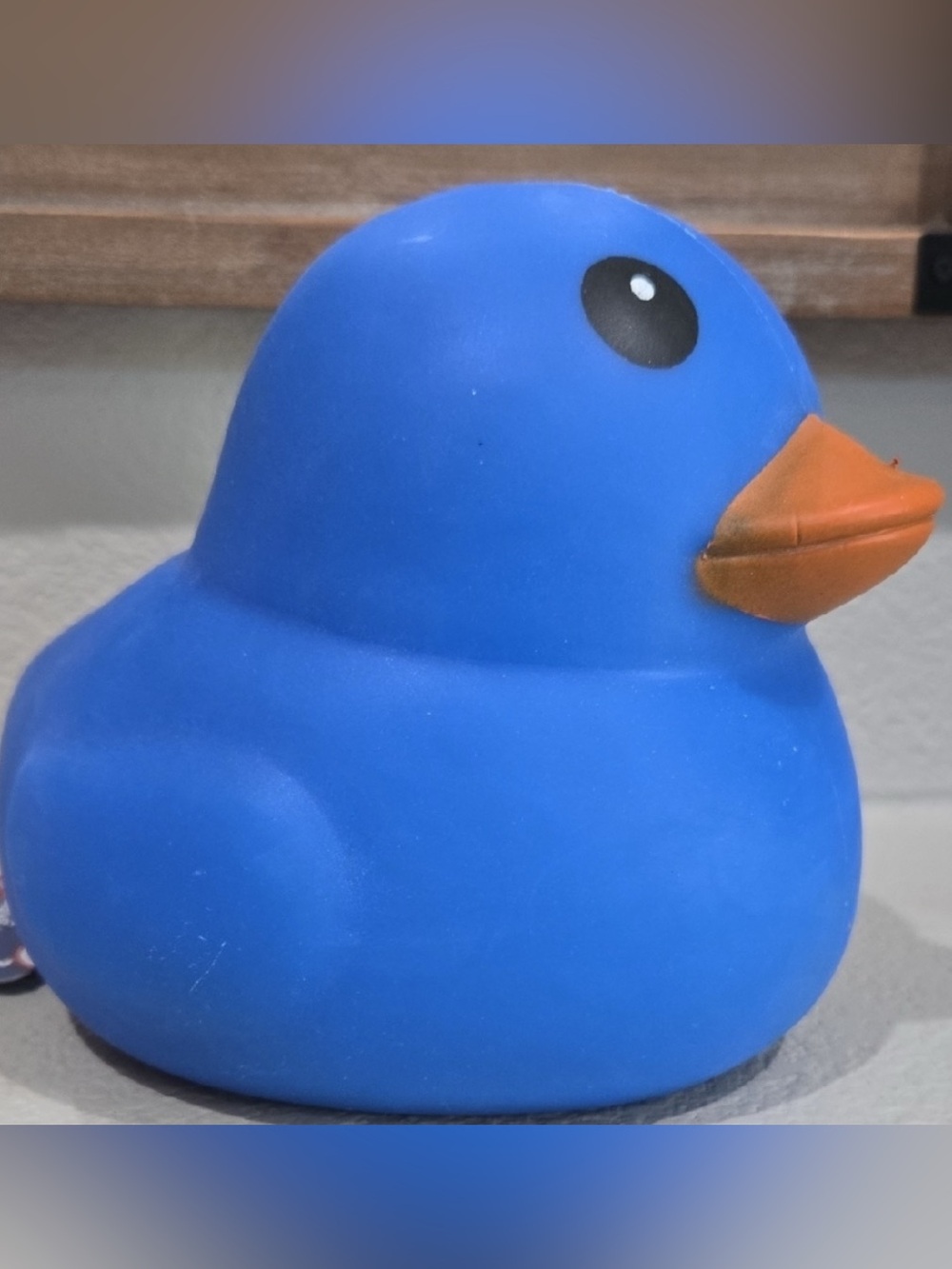 New jumbo squeezy duck blue